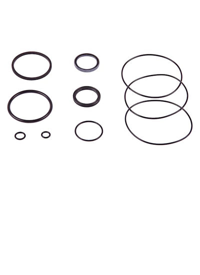 Standard Ignition Fuel Injector Seal Kit - SK120